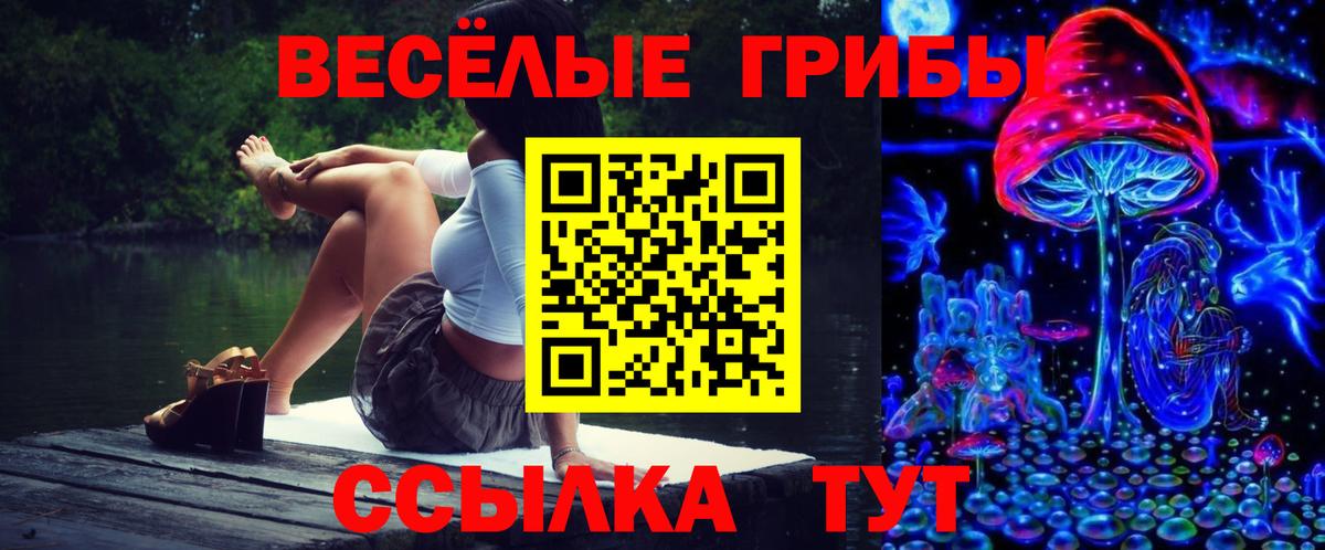 Видное  Псилоцибиновые грибы Psilocybine cubensis  дарнет шоп  Вход с VPN 