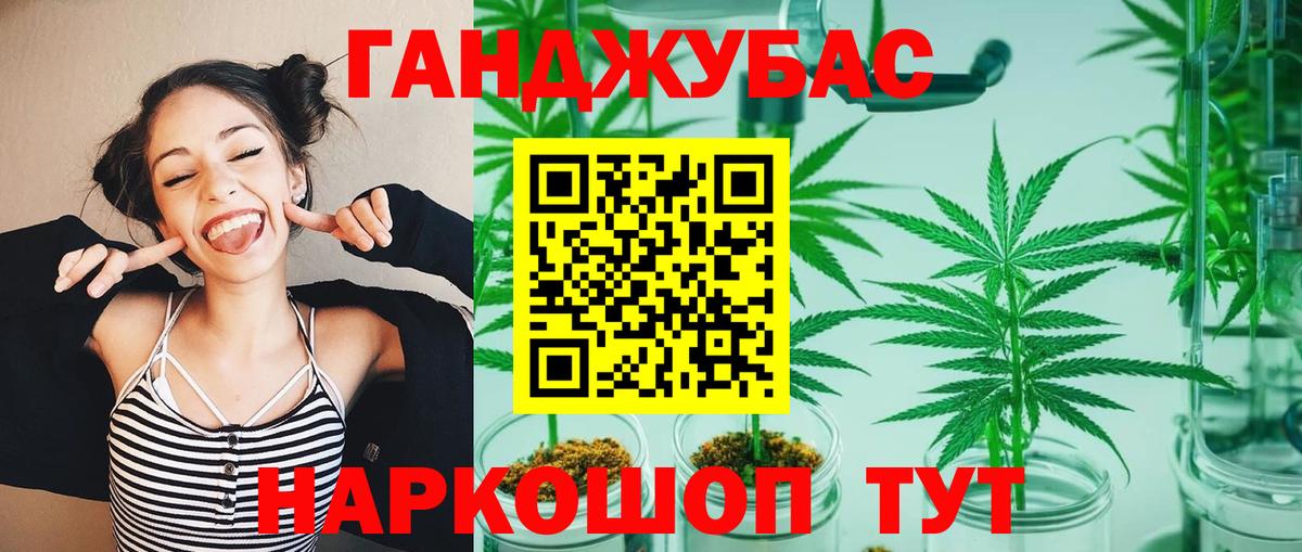 Видное  Канабис планчик  Вход с VPN  МАРИХУАНА ГИДРОПОН 